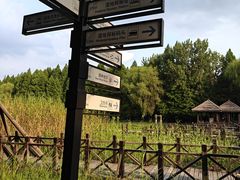 -溱湖国家湿地公园