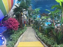 -青岛东方影都融创水世界