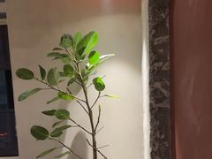 -上荔晶·土菜馆(古田店)