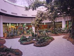 -陕西自然博物馆