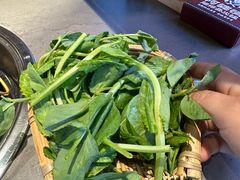 -阿婆情腊排骨火锅·野生菌季(古城旗舰店)