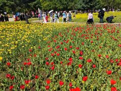 -长春公园(普阳街道)