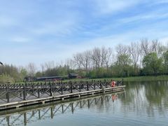 -溱湖国家湿地公园