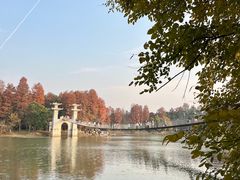 -东湖落雁景区