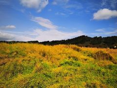 -鹞子沟国家森林公园
