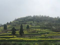 -云山屯古建筑群景区