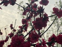 -南开大学(津南校区)