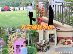 -兴隆槟榔园休闲农庄