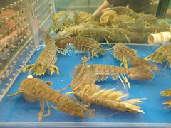 -猪肉婆私房菜(容桂总店)