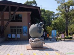 -广东惠东海龟国家级自然保护区