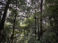 -碧峰峡风景区