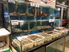 水产区-滨海小渔村·海肠捞饭·鲅鱼水饺·特色老火鱼丸汤(华田店)