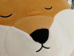 -五进制 Coffee Shop