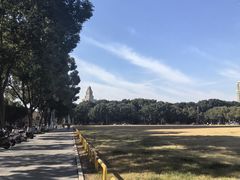 -中央公园(苏州工业园区)