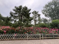 -北坞公园
