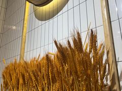 -嘉州北味春老烧麦·面食(叮咚街店)