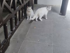 -狼山风景名胜区