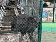 -北京鹿世界主题园