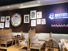 大堂-藏猫猫咖啡主题馆(中央大道店)