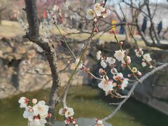 -无锡梅园公园
