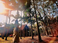 -西双版纳傣族园