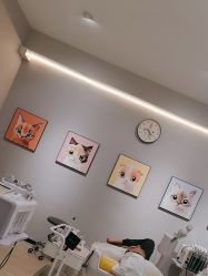 -洗脸猫·洗脸吧