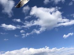 -丽江泸沽湖景区