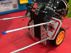 -乐博乐博少儿编程·乐高机器人编程·信息学竞赛(百仕达校区)