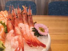 -酒井酱子·深夜食堂(东城汇店)