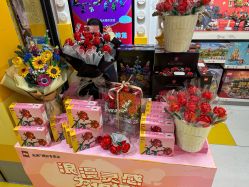 -乐高授权专卖店(万象城店)
