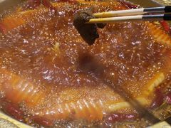 -苏家大院庭院式老火锅(高灯北街店)