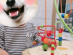 -金宝贝国际早教中心(万象城中心)