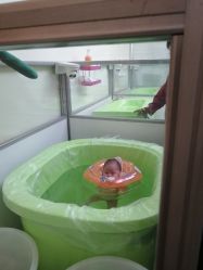 -弗蕾亚·和月月子调理院(东湖店)