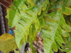 -喜士多便利店(宜山店)