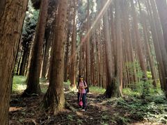 -武陵山森林公园