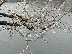 -颐和园