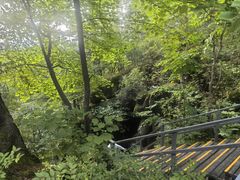 -五营红松林海景区