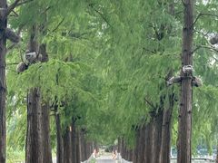 -东湖听涛景区