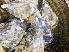 高压锅竹笼蒸蚝-蚝堡海鲜·威海菜·海肠捞饭·烧烤·亚洲吃蚝公司(幸福门店)