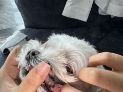 -狗舍宠物医院(四季商业广场店)