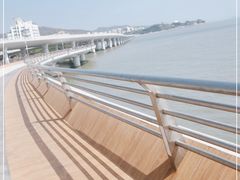 -演武大桥观景平台