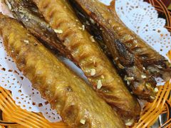 -洞密园美食城(富华路店)