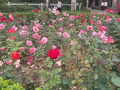 -仁和公园(顺义区)