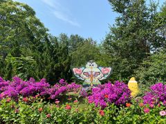 -老龙头景区