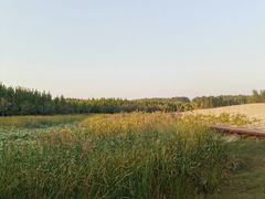 -东郊湿地公园