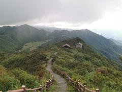 -大围山国家森林公园