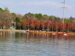 -上海海湾国家森林公园