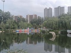 -张店儿童公园