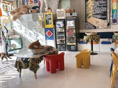 -平行世界·猫咖(首经贸店)