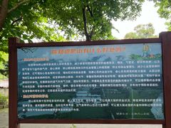 -南丹山森林王国